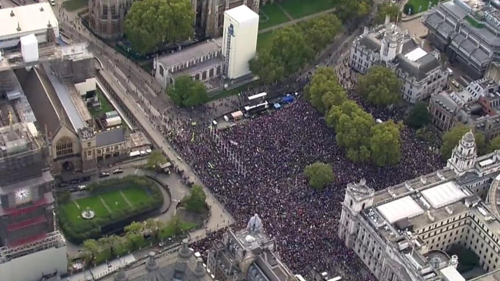 Jubilant scenes at 'final say' Brexit protest