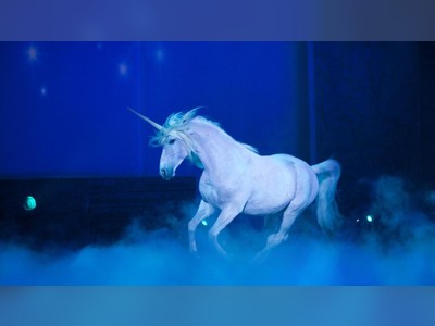 Dead unicorns? The biggest startup failures of 2019
