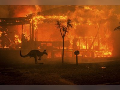 Pray for the animals in Asutralia and all the hero’s helping them