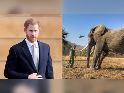 Prince Harry loses complaint over 'drugged and tethered' animal pictures