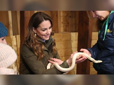 Duchess of Cambridge tours farm on Northern Ireland visit
