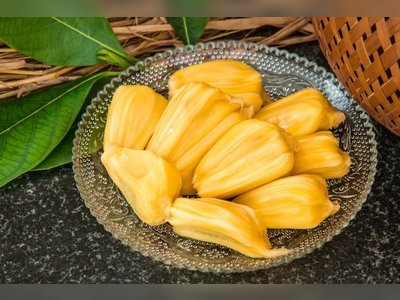 Jackfruit, vegan meat substitute used for pulled pork, tacos, even fish patties, packs a nutritional punch