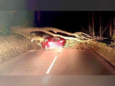 Storm Jorge: Family escapes unhurt as tree falls on car