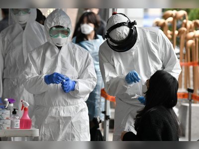 Coronavirus: South Korea’s infection rate falls without citywide lockdowns