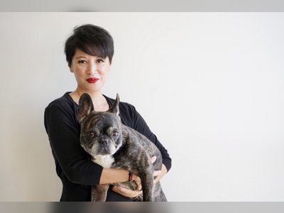 ‘An epidemic of hate’: Asian-American starts anti-racism campaign to counter abuse over coronavirus