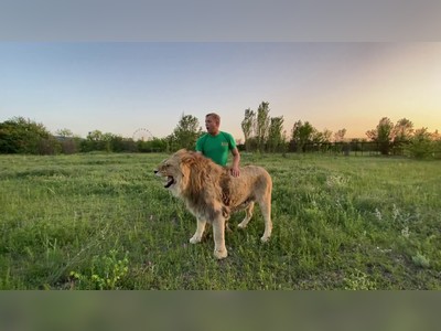 Amazing: Safari Guard in Crimea helps a lion to fight another TEN Lions