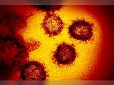 Uncertain future as Covid-19 infection rate sets global records