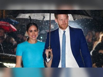 Harry and Meghan 'did not contribute' to new book Finding Freedom