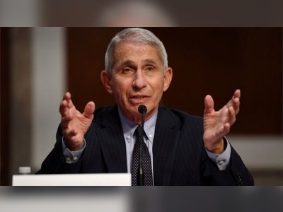 White House targets US disease chief Dr Anthony Fauci