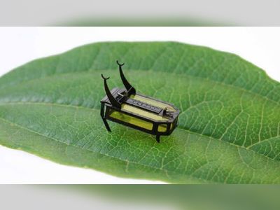 Scientists create a robot the size of a beetle powered by methanol