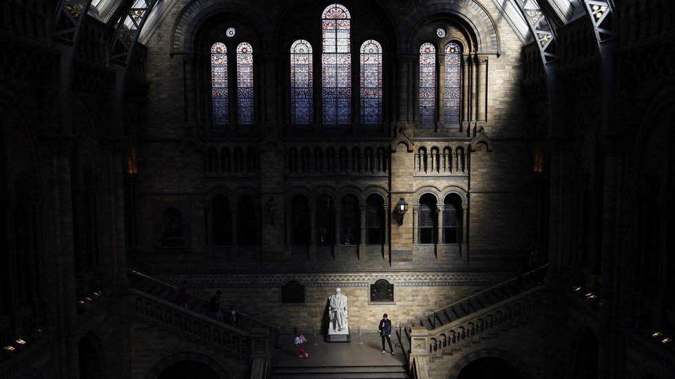‘You thought it would stop at statues?’ Darwin exhibits at UK's Natural History Museum may be canceled for being ‘offensive’