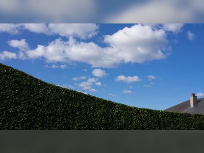 How Hedges Became the Unofficial Emblem of Great Britain
