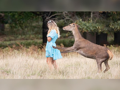 Wild deer attacks selfie-seeking woman in London park after she got too close in bid for perfect picture
