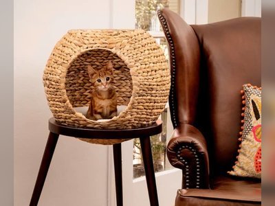 Style Furniture Design Pets at Home This Collection of Modern Cat Furniture is Pawsitively Stylish