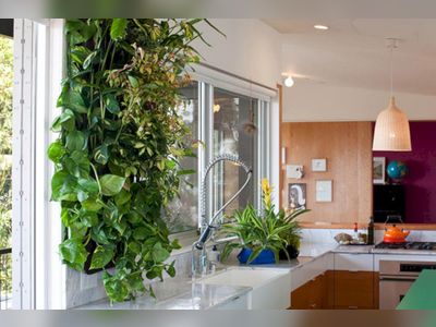 8 Pretty Kitchen With Wall Plants Design Ideas You Must Have
