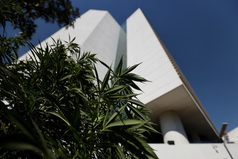Vote in Mexico brings world's largest legal weed market one step closer