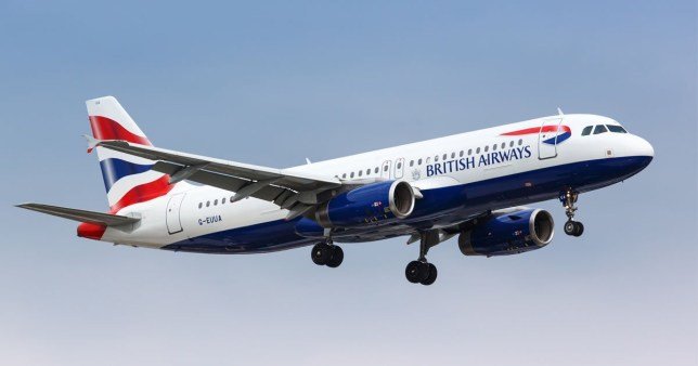 British Airways flight makes emergency landing after co-pilot falls unconscious