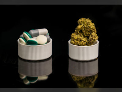 Opioid Prescriptions Decline in Canada Following Cannabis Legalization