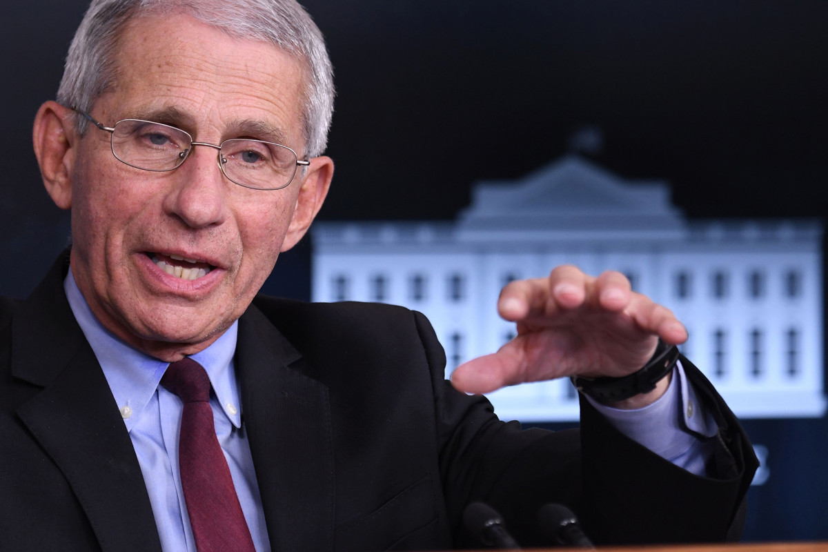 Fauci fires back after Trump claims US COVID-19 death toll ‘exaggerated’