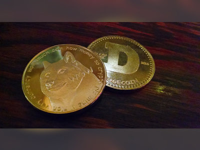 Is Dogecoin Next? Robinhood Blocks Skyrocketing Cryptocurrency Championed by Online Traders