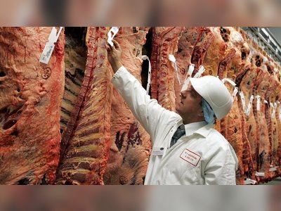 Post-Brexit customs systems not fit for purpose, say meat exporters