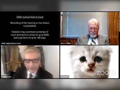 Lawyer tells judge 'I'm not a cat' after a Zoom filter mishap in virtual court hearing