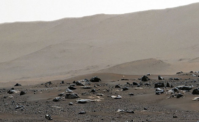 NASA Releases Mars Landing Site Panorama Taken By Perseverance Rover