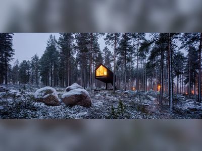 This Cozy Cabin Stands Above the Forest Floor on a Single Leg