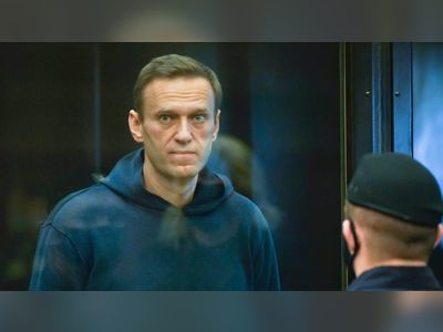Putin critic Navalny jailed in Russia despite protests