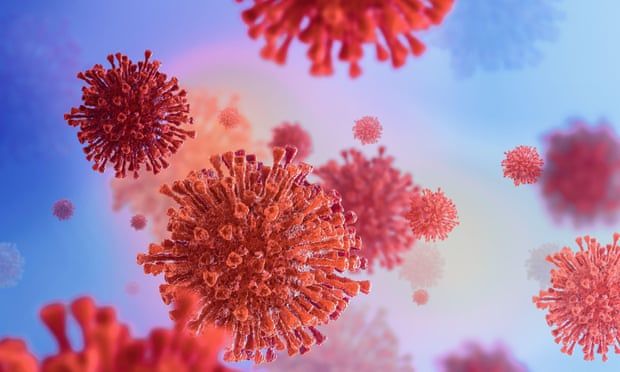 Covid: UK failed to heed the virus alerts, says vaccine creator