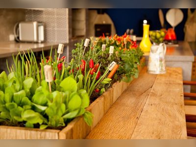 6 Best Indoor Vegetable Garden Design Ideas What You Must Make