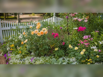 How to Plant Flowers in 5 Easy Steps For a Garden Full of Color
