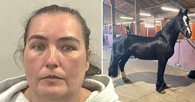 Woman stole £1,700,000 from boss to fund luxurious lifestyle with horses