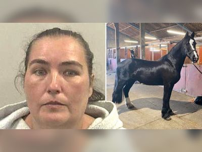 Woman stole £1,700,000 from boss to fund luxurious lifestyle with horses