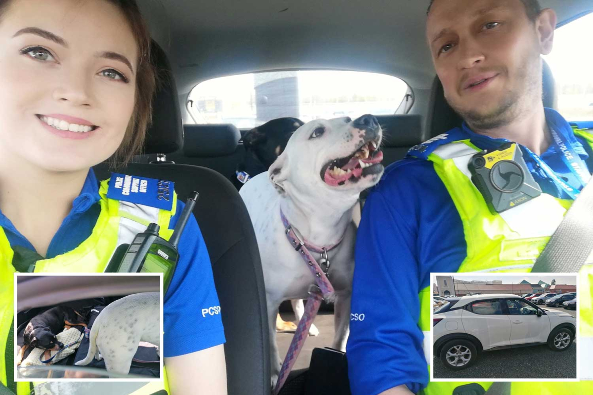 Cops forced to rescue two dogs left roasting in 12C car as owners went shopping