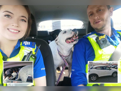 Cops forced to rescue two dogs left roasting in 12C car as owners went shopping