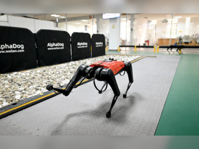 The Ulti-Mutt Pet? Chinese Tech Company Develops Robo-Dogs