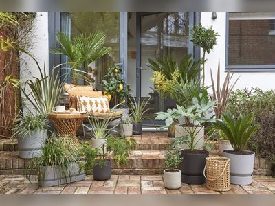 10 ideas for small gardens on a budget - how to maximise style for minimal cost