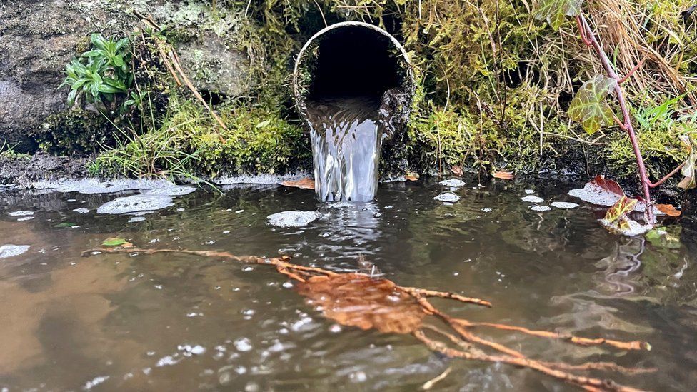 Water companies illegally dumping sewage in England and Wales' rivers