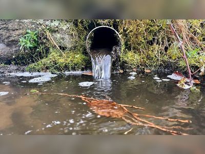 Water companies illegally dumping sewage in England and Wales' rivers