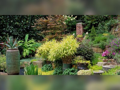 10 Tips for Creating an Easy-Care Landscape That Won't Need a Ton of Maintenance