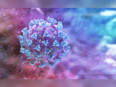 Chinese Scientists Discussed Weaponising Coronavirus In 2015
