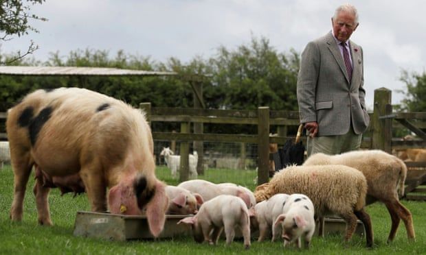 Prince Charles: small-scale family farms must be at heart of sustainable future