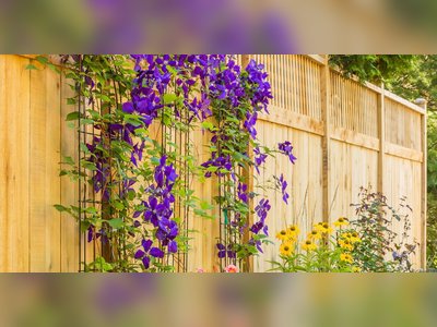6 Eye-Catching Fence Decorating Ideas to Dress Up Your Yard