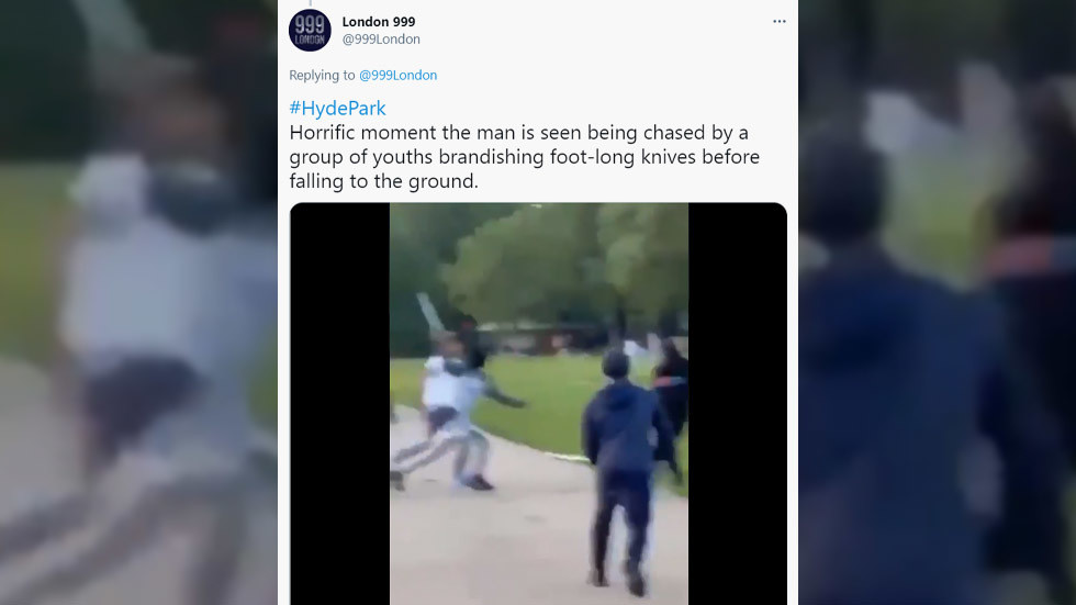 ‘More black kids demonstrating their lives don’t matter’: Brits disgusted by gang stabbing in London’s Hyde Park