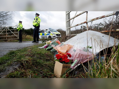 Police watchdog investigating UK cops from ‘several forces’ over Sarah Everard's murderer
