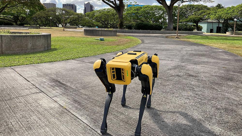 Robot police dogs: Just a tool or something more sinister?