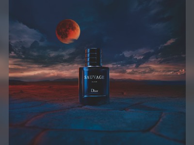 Perfumer François Demarchy on the Double-Meaning Behind the Notes of Dior Sauvage Elixir