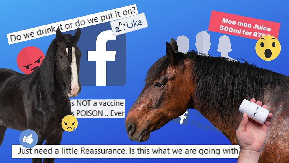 Facebook paid ads are promoting a horse drug as a COVID cure