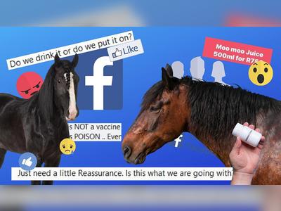 Facebook paid ads are promoting a horse drug as a COVID cure